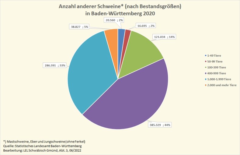 Die Grafik zeigt die Anzahl der gehaltenen anderen Schweine (Mastschweine, Eber, Jungschweine) in Baden-Württemberg 2020, aufgeteilt nach Bestandsgrößen