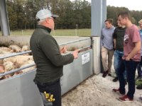 Auszubildende bei der Betriebsbesichtigung auf einem Bioland Schweinebetrieb