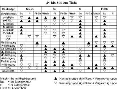 unterschiede_2.jpg (38741 Byte)
