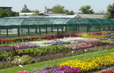 Versuchsflächen der SfG