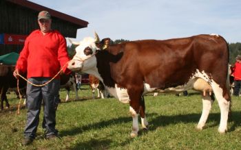 PM 379 Igdian Miss Gersbach.jpg