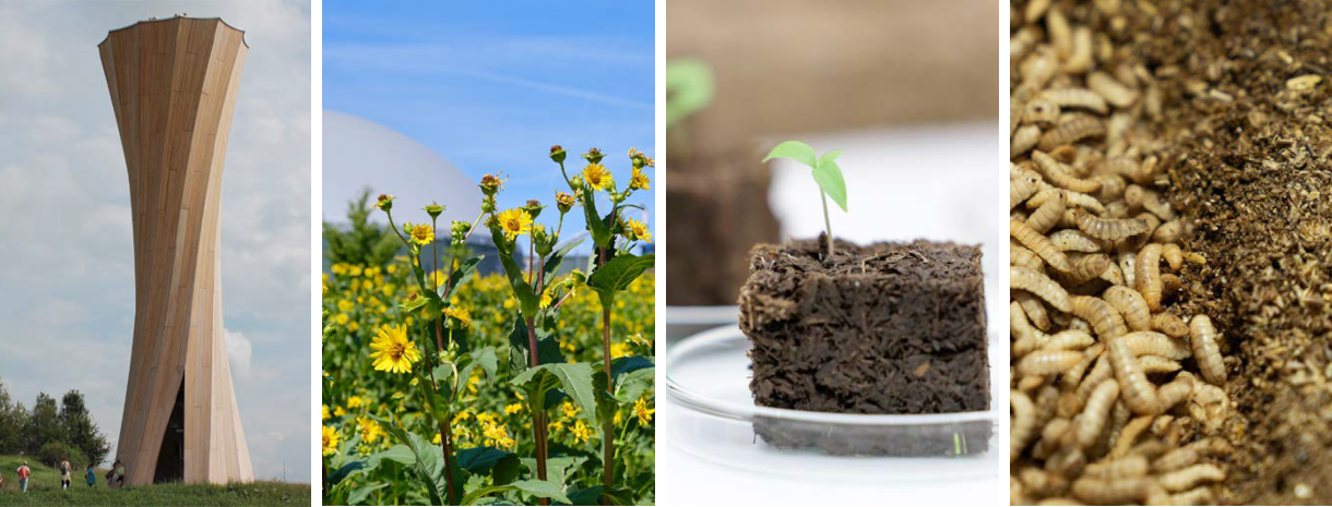 Titelbild_Landinfo_4_2025_Bioökonomie