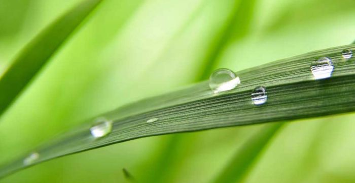 Titelbild_AGROjournal Ausgabe 1