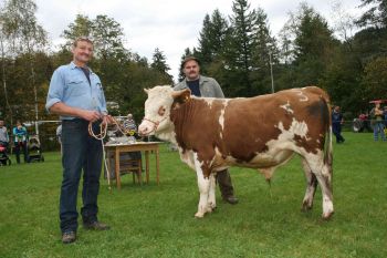 PM 376 Nr. 1 (3).JPG