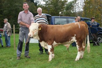 PM 376 Nr. 1 (1).JPG