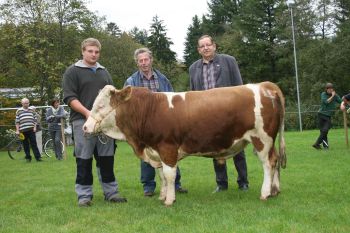 PM 376 Nr. 1 (4).JPG