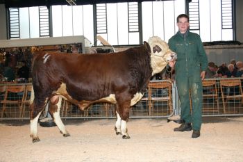 PM 380  KatNr  4.jpg