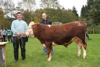 PM 376 Nr. 1 (2).JPG