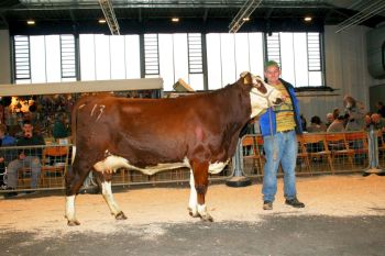 PM 380 KatNr  13.jpg