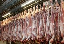 B. Stetter, LEL B. Stetter, LEL