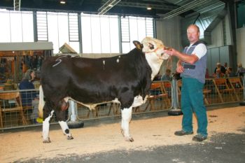 PM 379 Olefaz DE 0815545840 HB 10430156.jpg