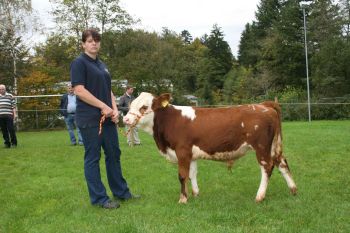 PM 376 Nr. 1 (6).JPG