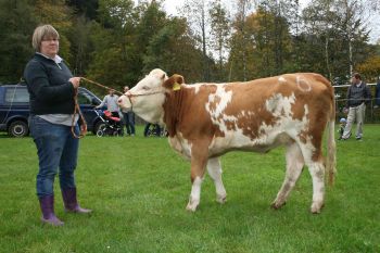 PM 376 Nr. 1 (5).JPG