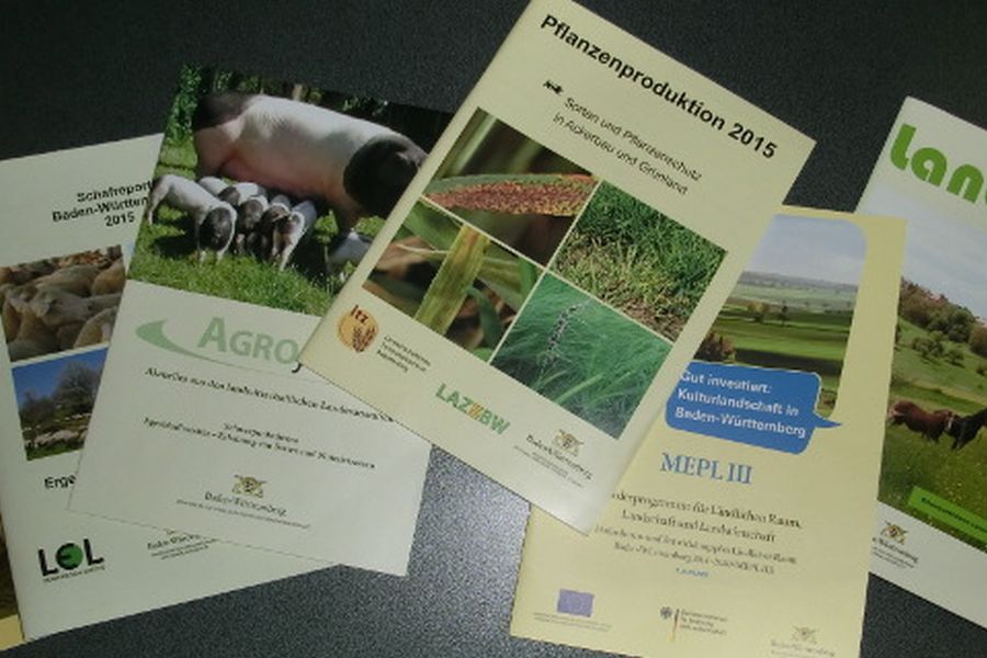 Abbildung mehre Publikationen